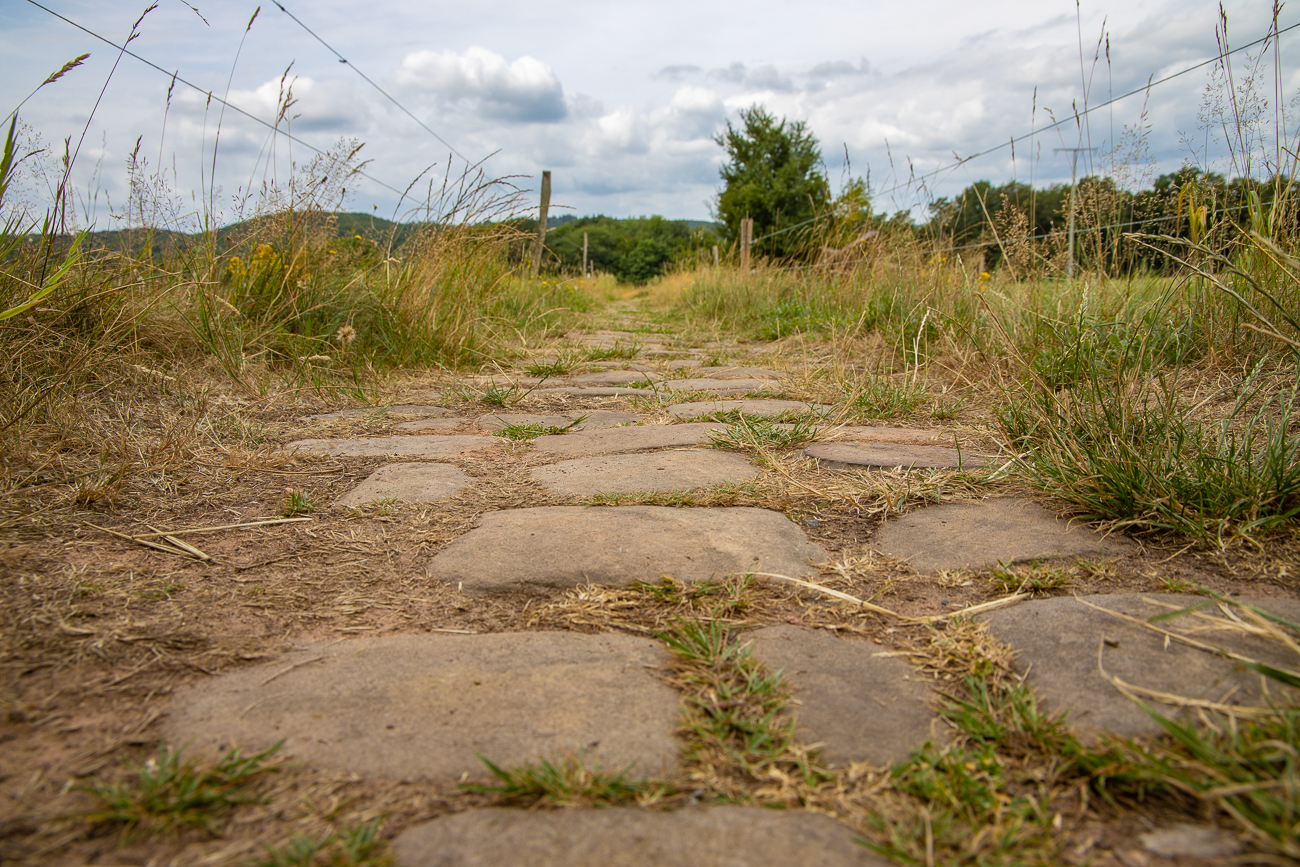 Gepflasterter Weg durch die Weiden