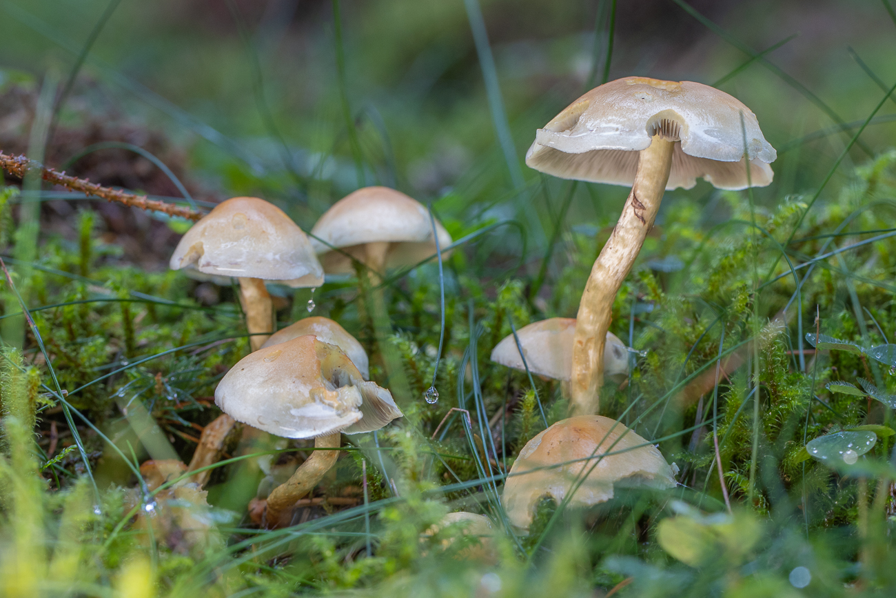 Auf dieser Wanderung ...