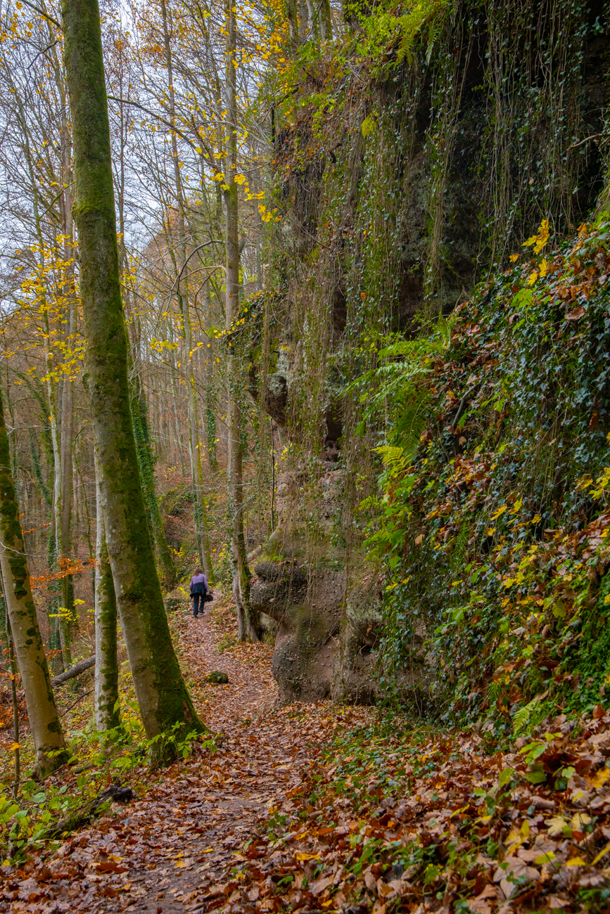 Sandsteinfelsen im Wald