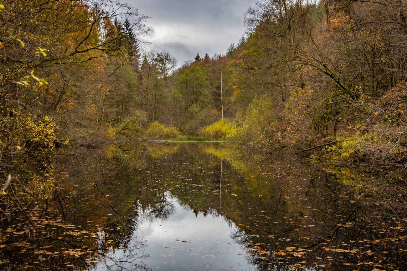 Einer der vier Teiche