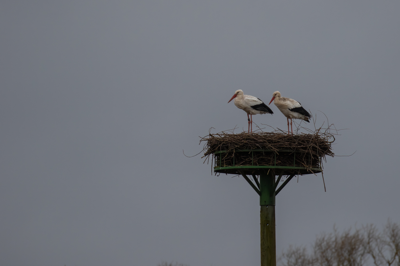 ... beruhigen sich die Gem&uuml;ter wieder