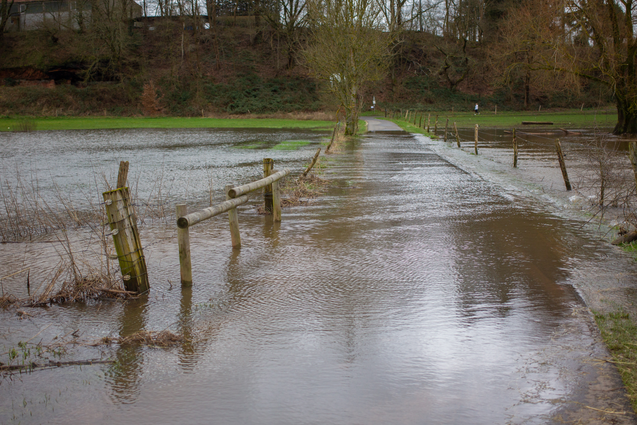 ... ist der Beedener Bruch &uuml;berschwemmt