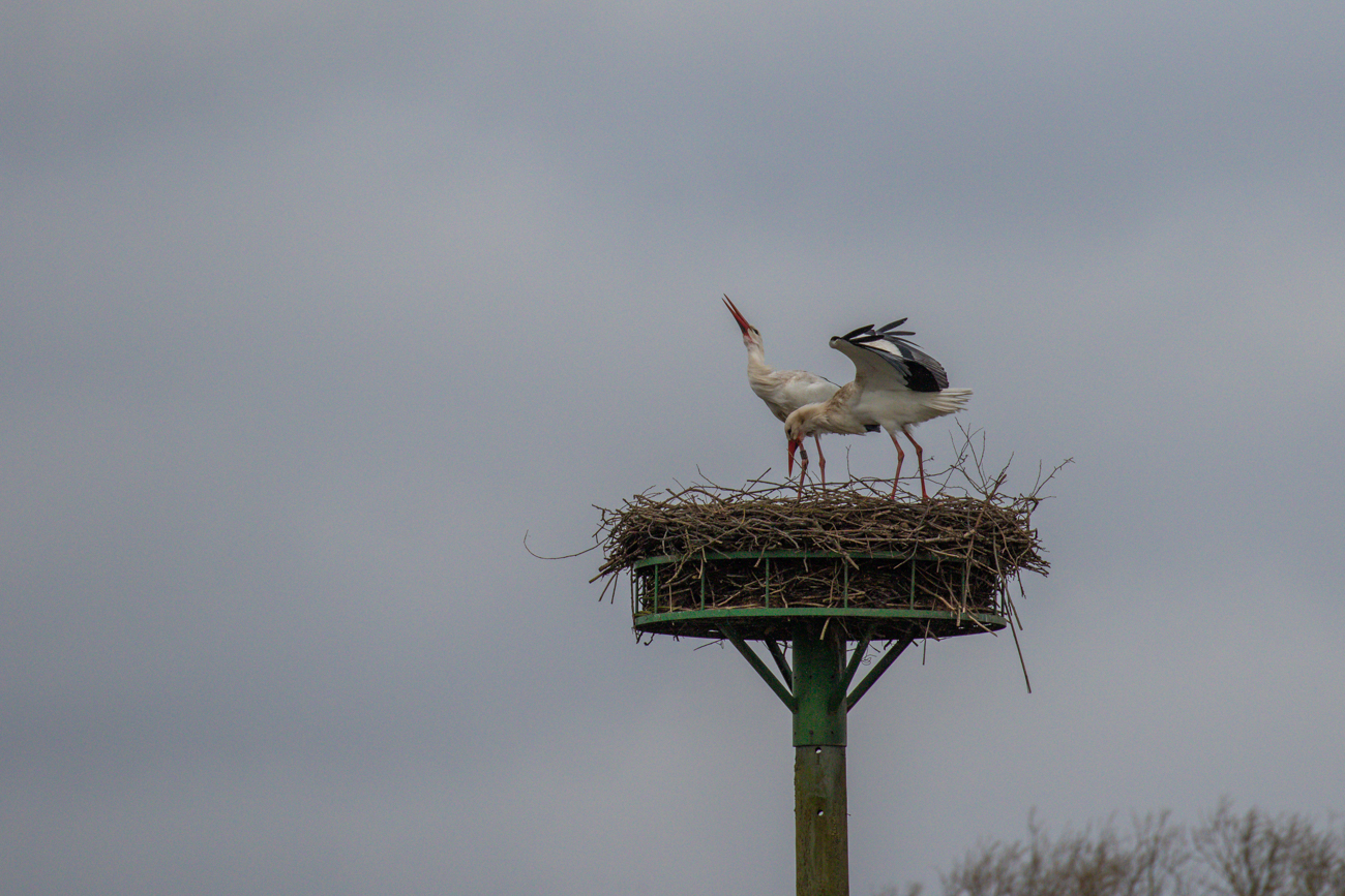 Freudige Begr&uuml;&szlig;ung durch den Partner