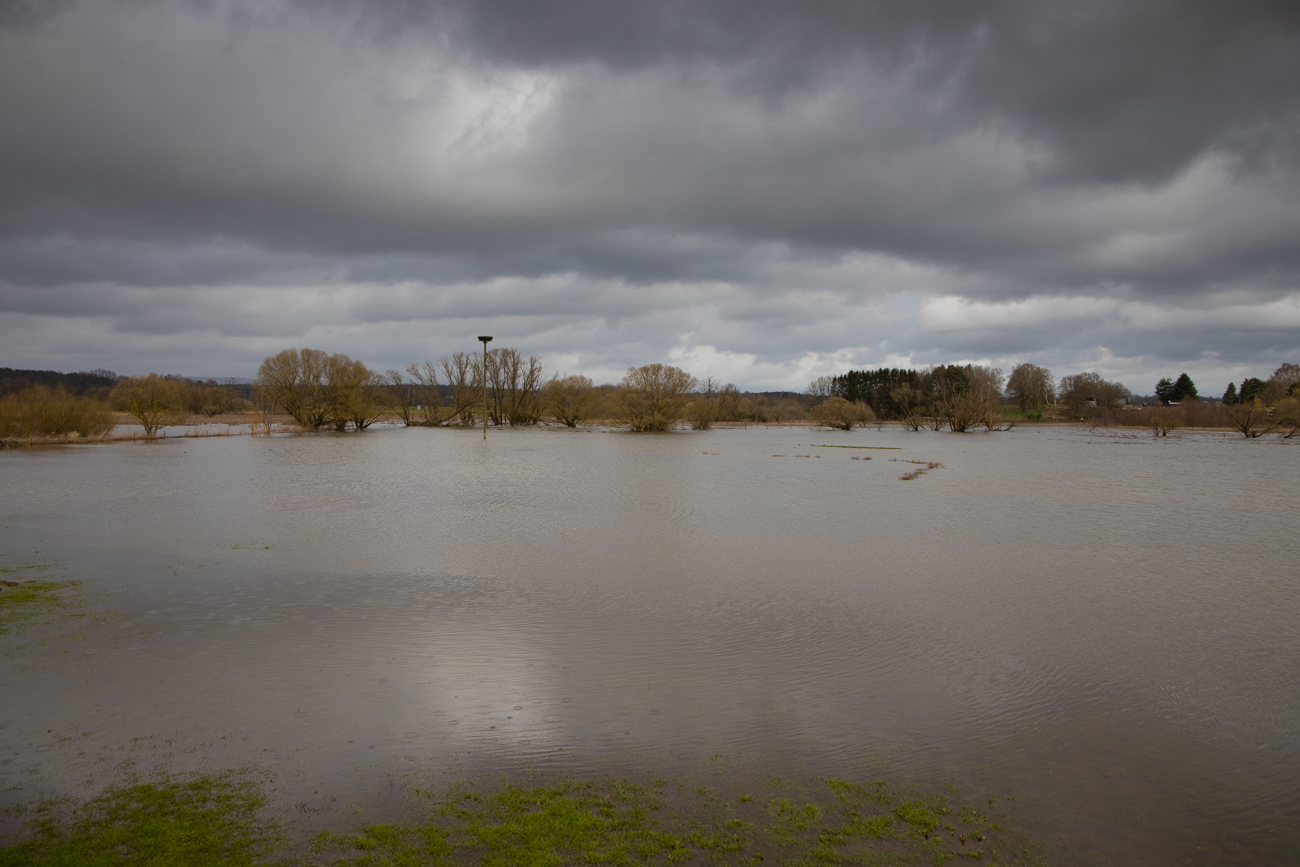 Tags darauf im Beedener Bruch, das Wasser dominiert immer noch die Wiesen