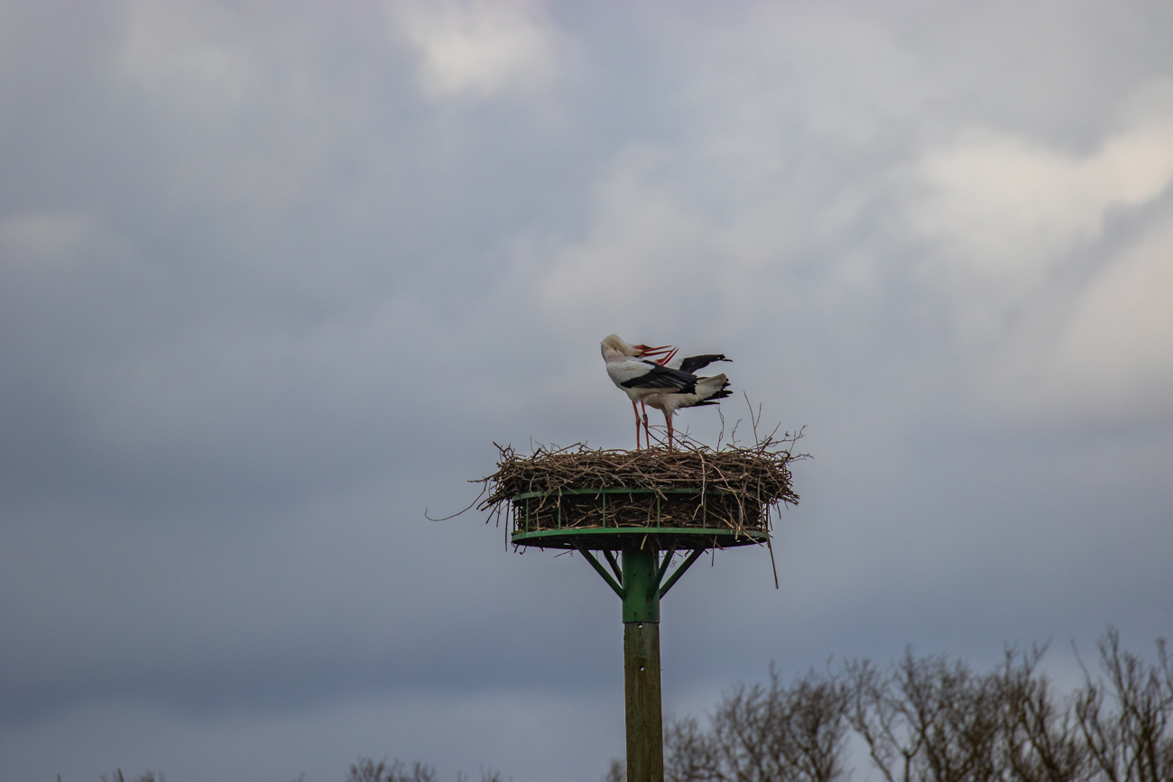 Gemeinsame Freude &uuml;ber die erfolgreiche Verteidigung