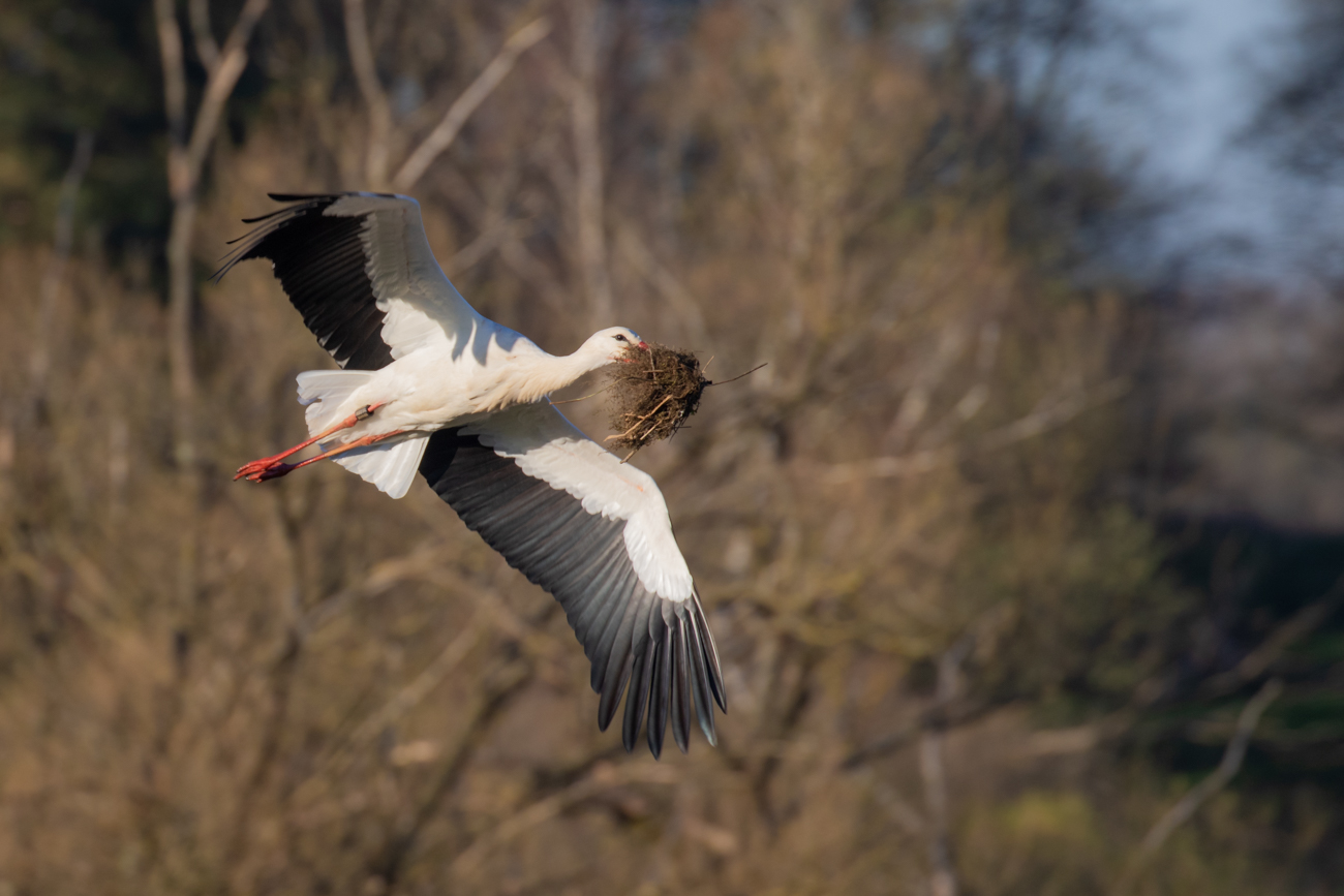 ... wahrscheinlich um H&ouml;he zu gewinnen