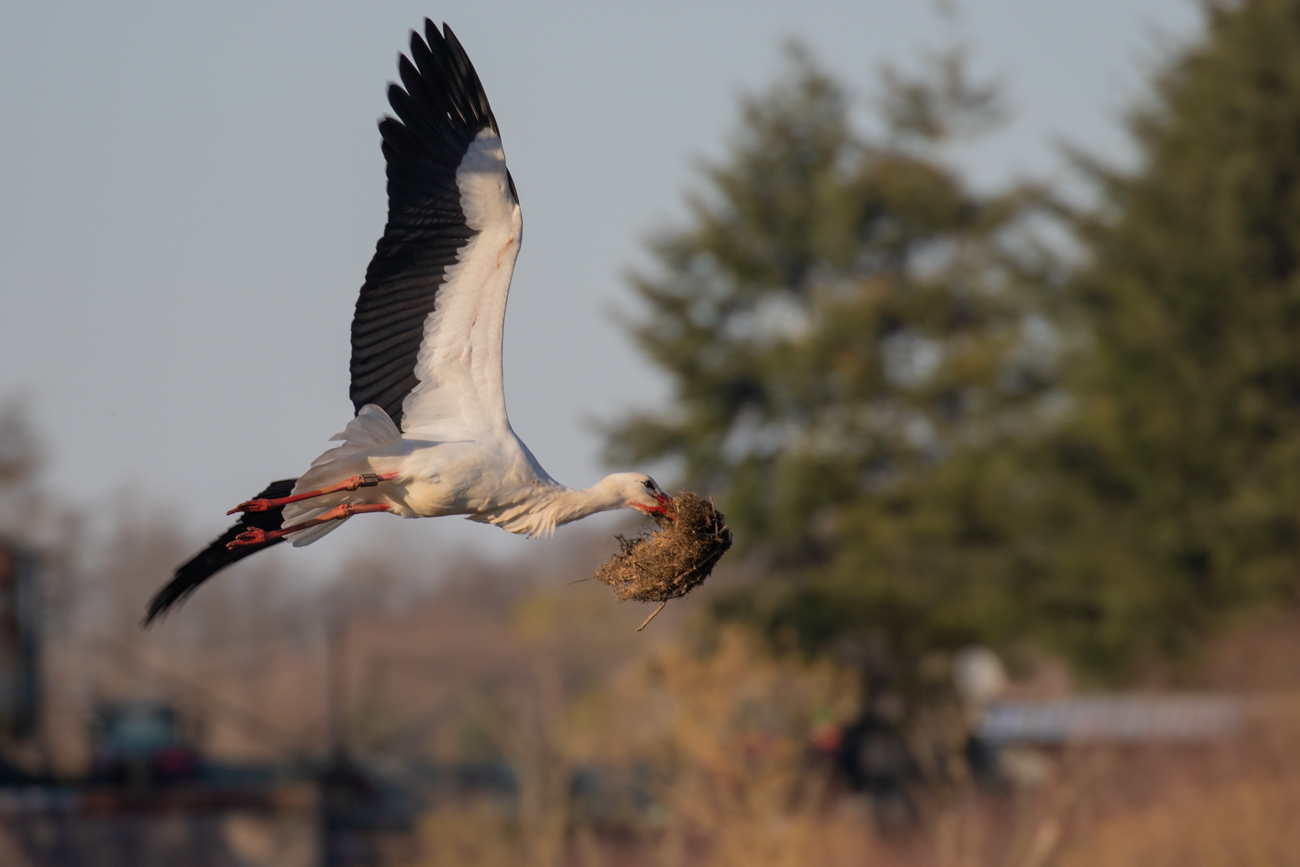 Vielleicht ist das gesammelte Material etwas schwer