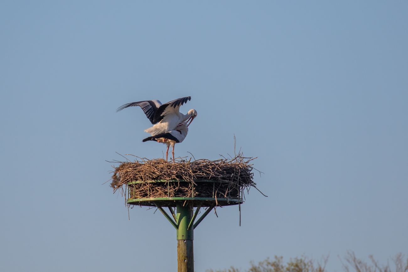Etwas indiskret da zuzuschauen ...