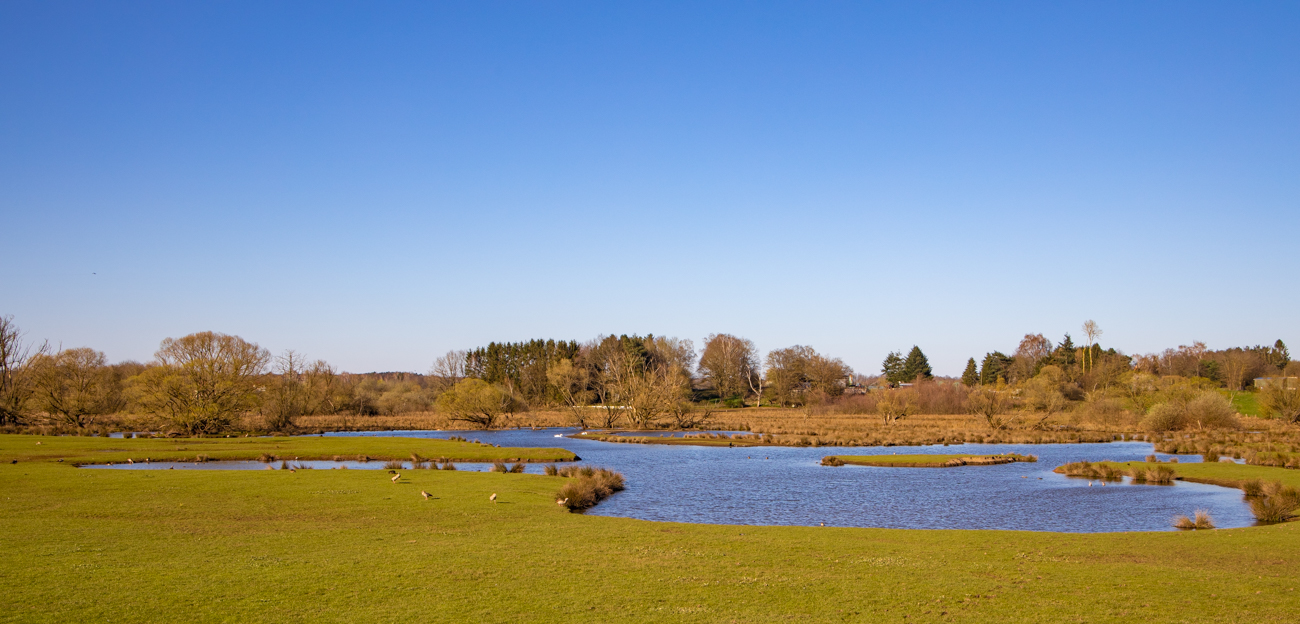 Am Biotop Beeden, das Hochwasser ist wieder weg