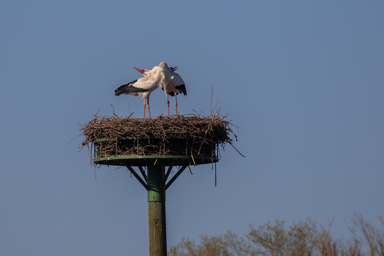 Freude &uuml;ber den Partner