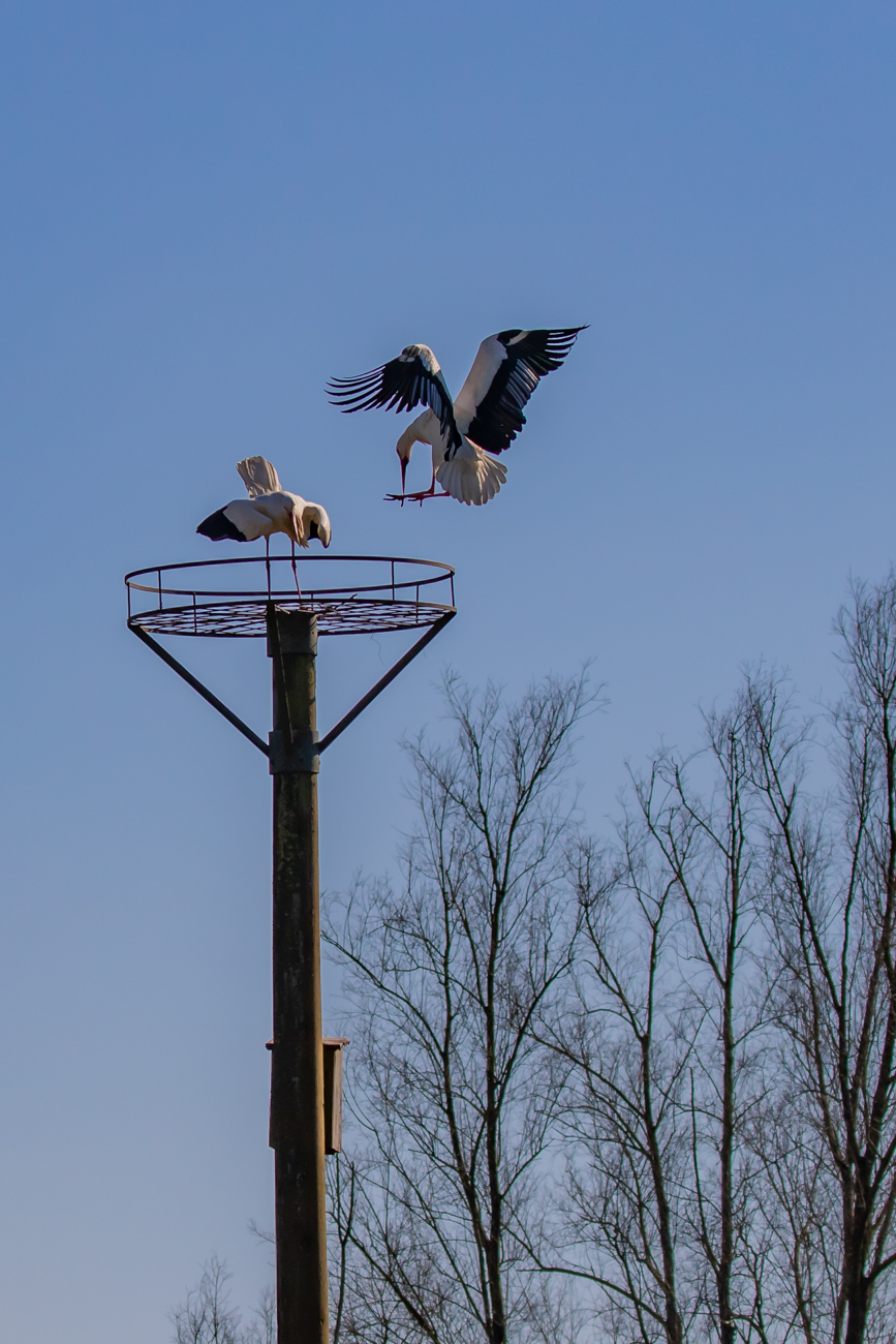 Landeplatz anvisieren