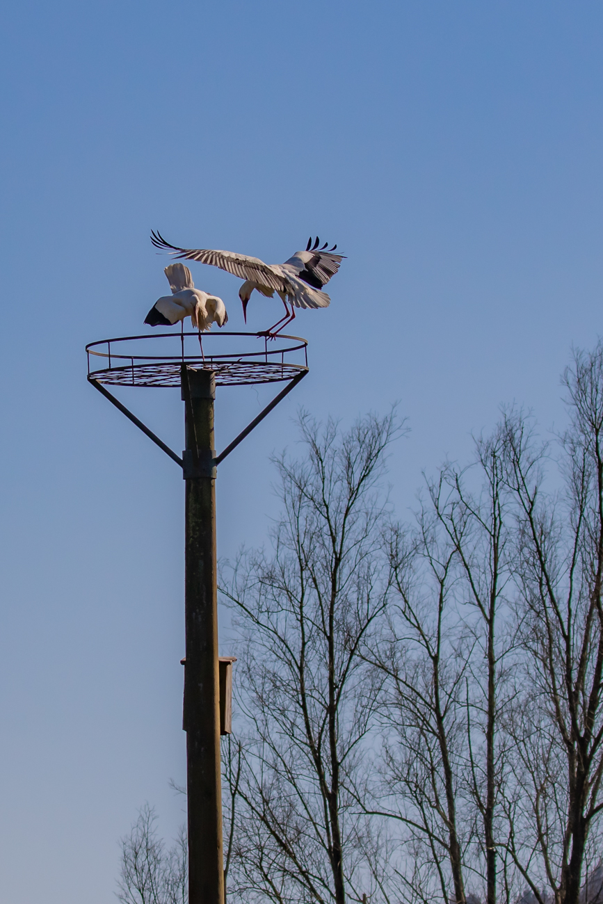 Aufsetzen an dem Rand