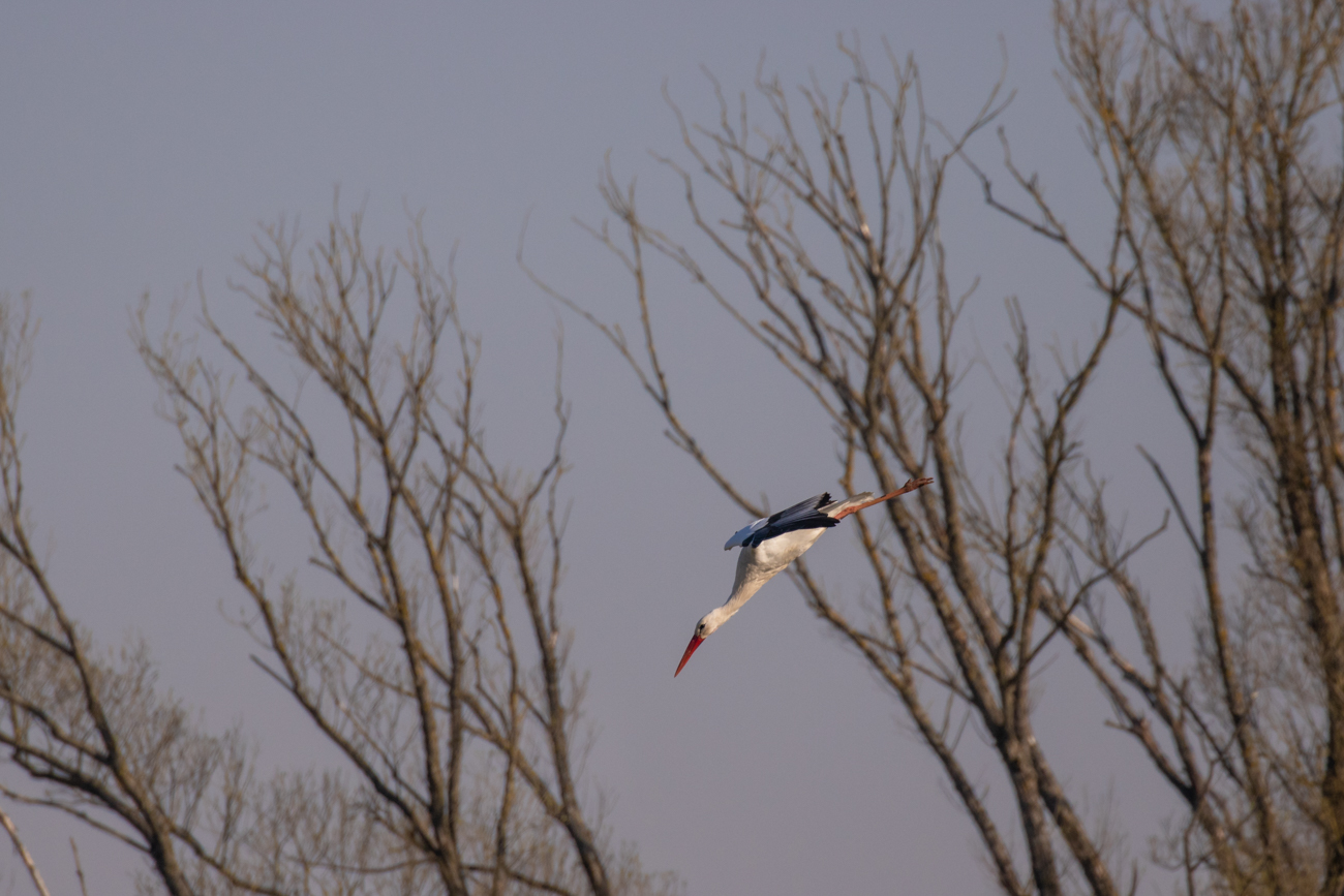 Kurz vor dem Boden ...