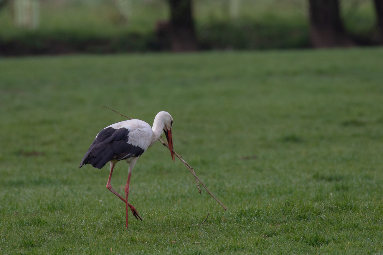 Zwei auf einmal, ob das funktioniert?