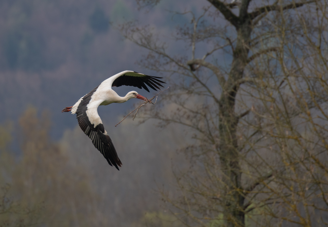 Nach einer Runde ...