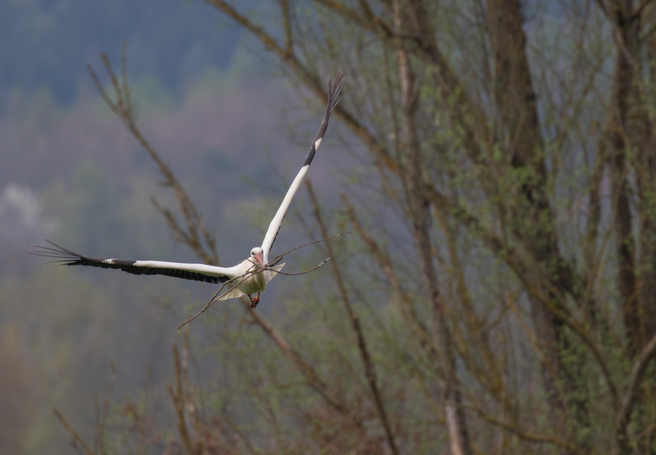 ... um an H&ouml;he zu gewinnen ...