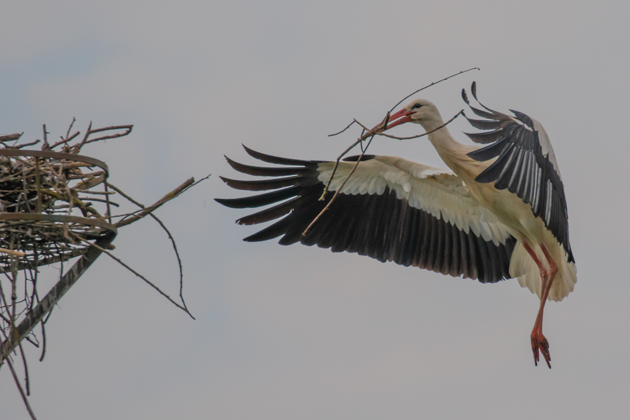 Kurz vor der Landung