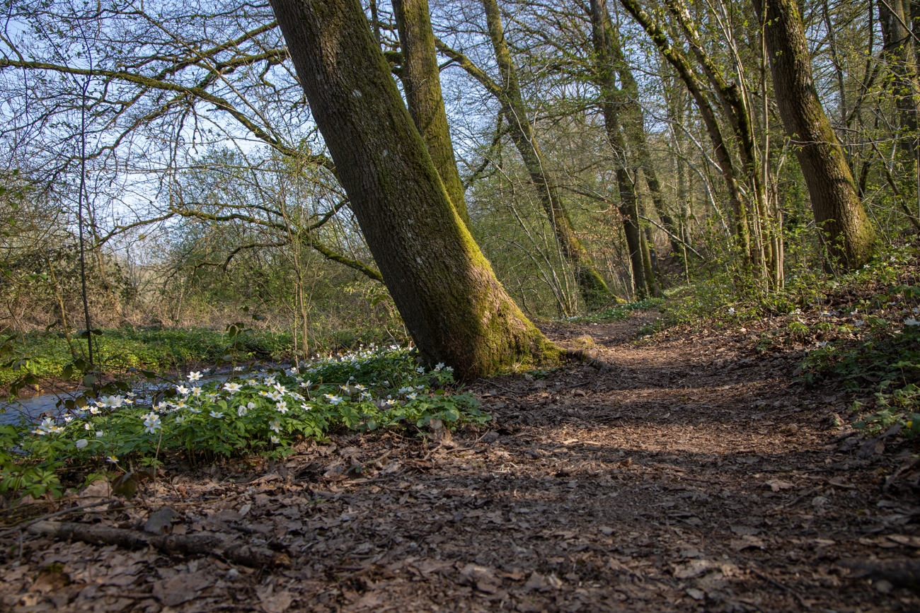 Die Wege sind von zahlreichen ...