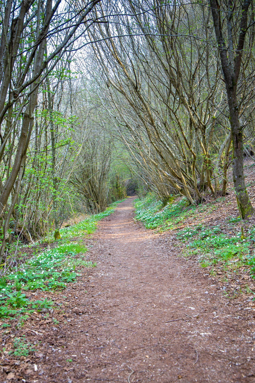 Blumenges&auml;umter Weg