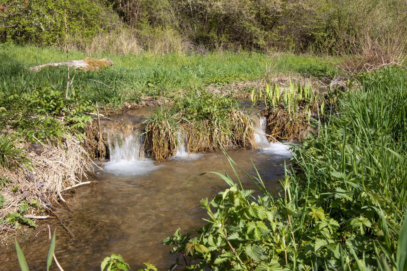 Der Bach ergie&szlig;t sich ...