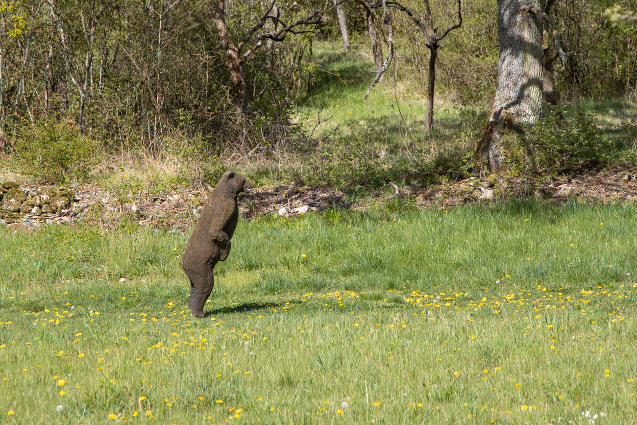 Saarl&auml;ndischer B&auml;r ;-)