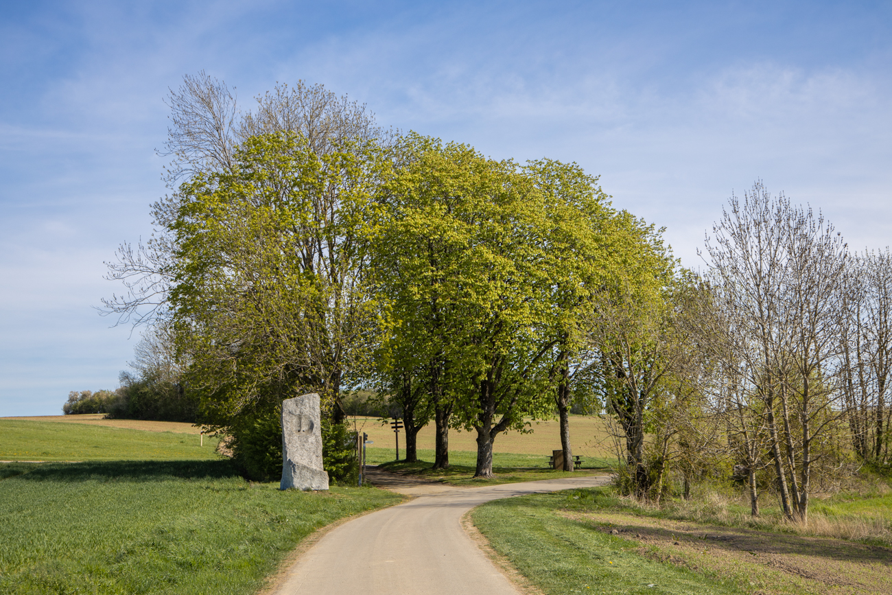 Wegkreuzung mit Skulptur