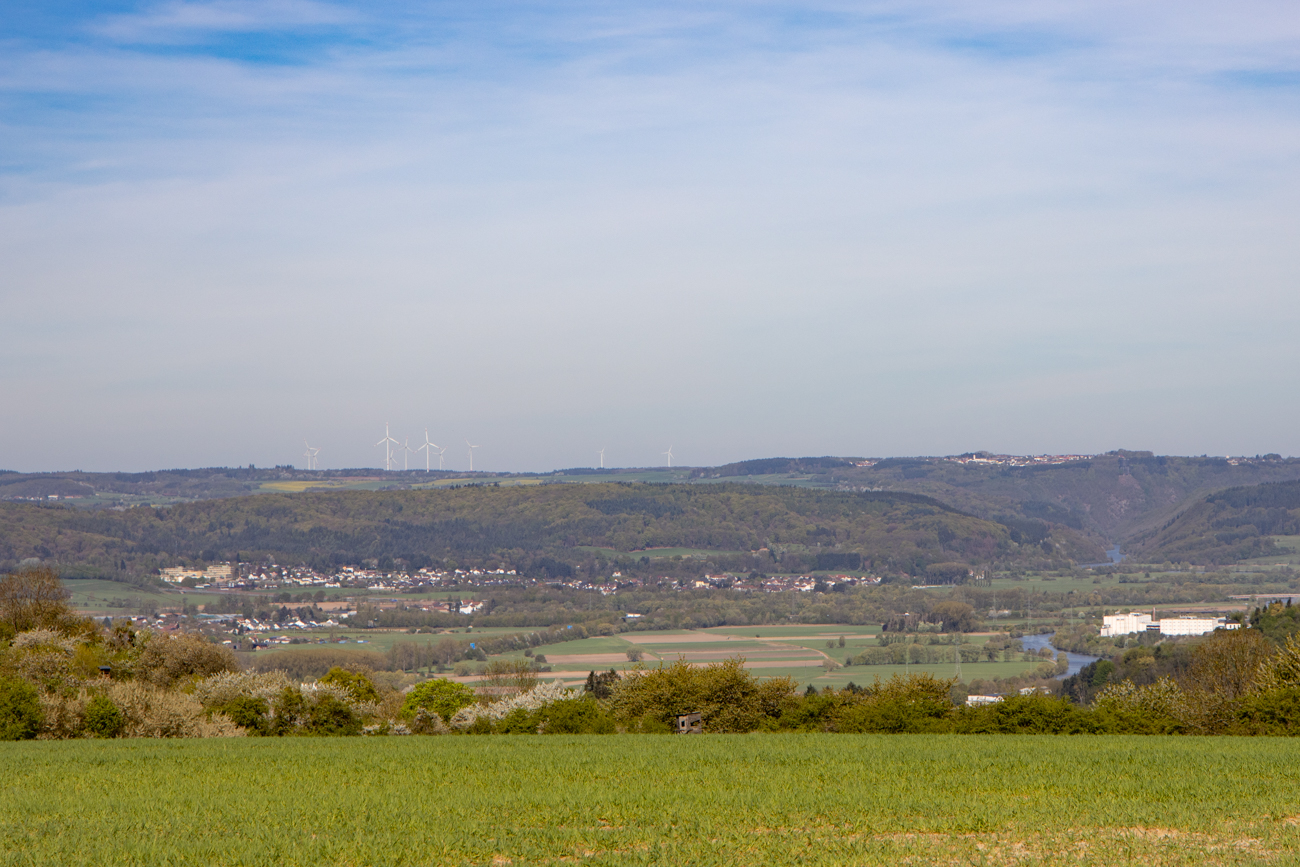 Blick vom Aussichtspunkt "M&uuml;hlental" Richtung Merzig auf die Saar
