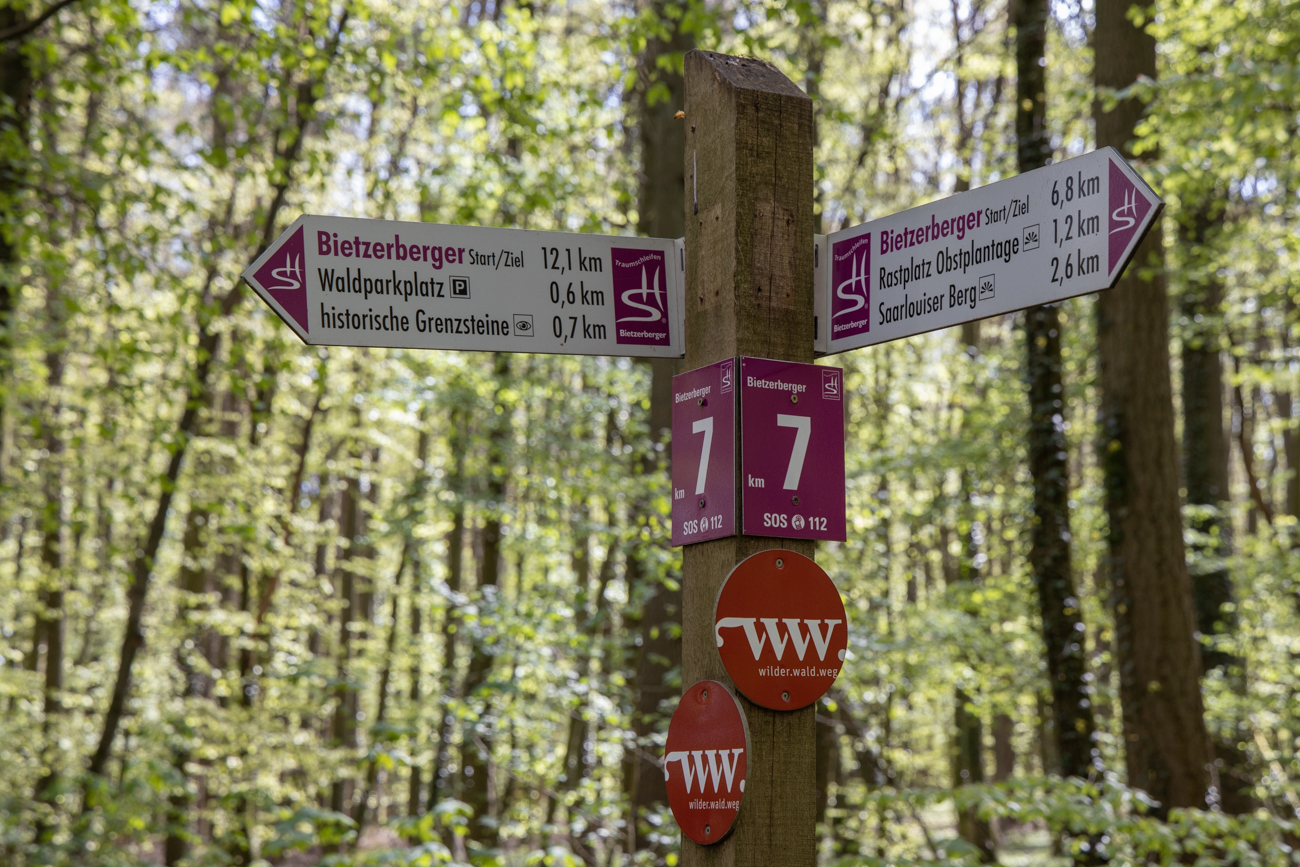 Ein St&uuml;ck weit (1,5 km) f&uuml;hrte der Bietzerberger auf dem "Wilder Wald Weg" entlang