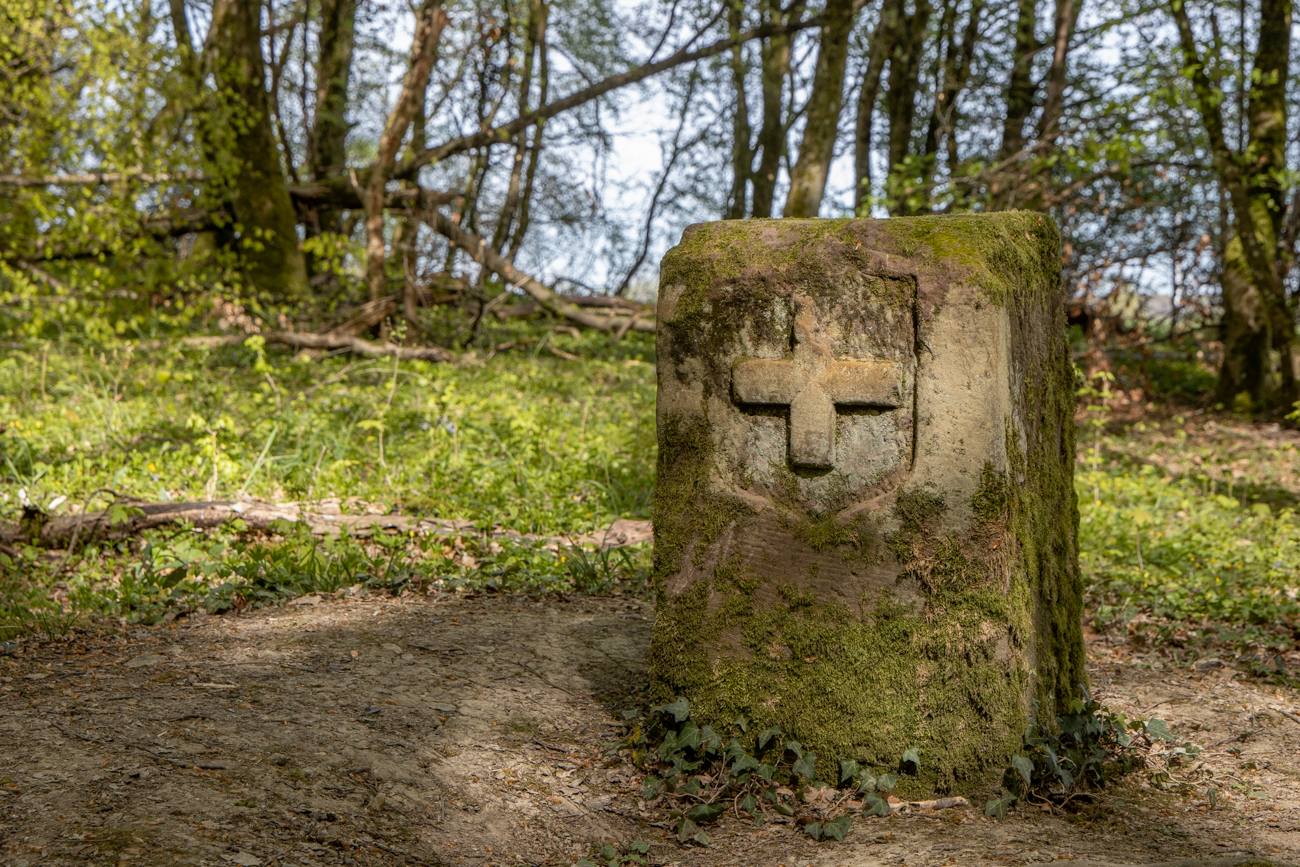 Einer der Grenzsteine ...