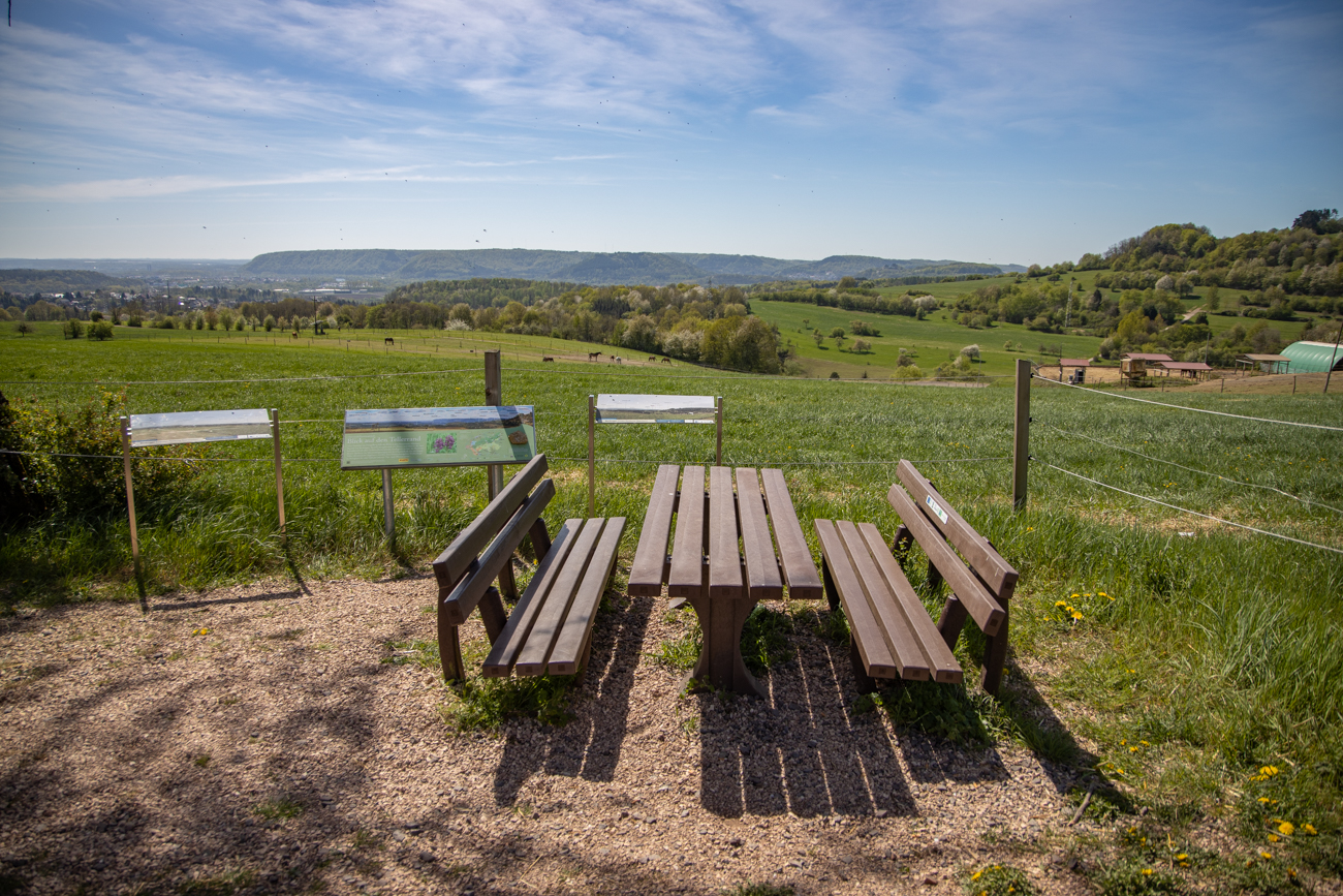 Picknickbank mit Aussicht