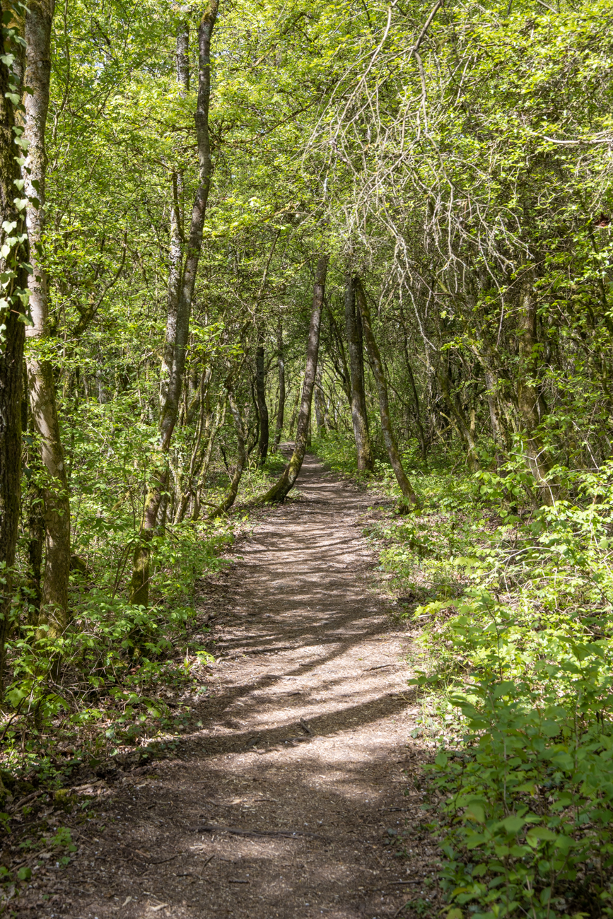 Nun geht es stramm dem Ziel entgegen