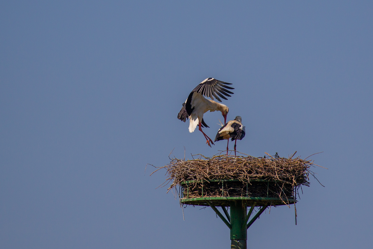 Besonders die Starts und Landungen haben es mir angetan