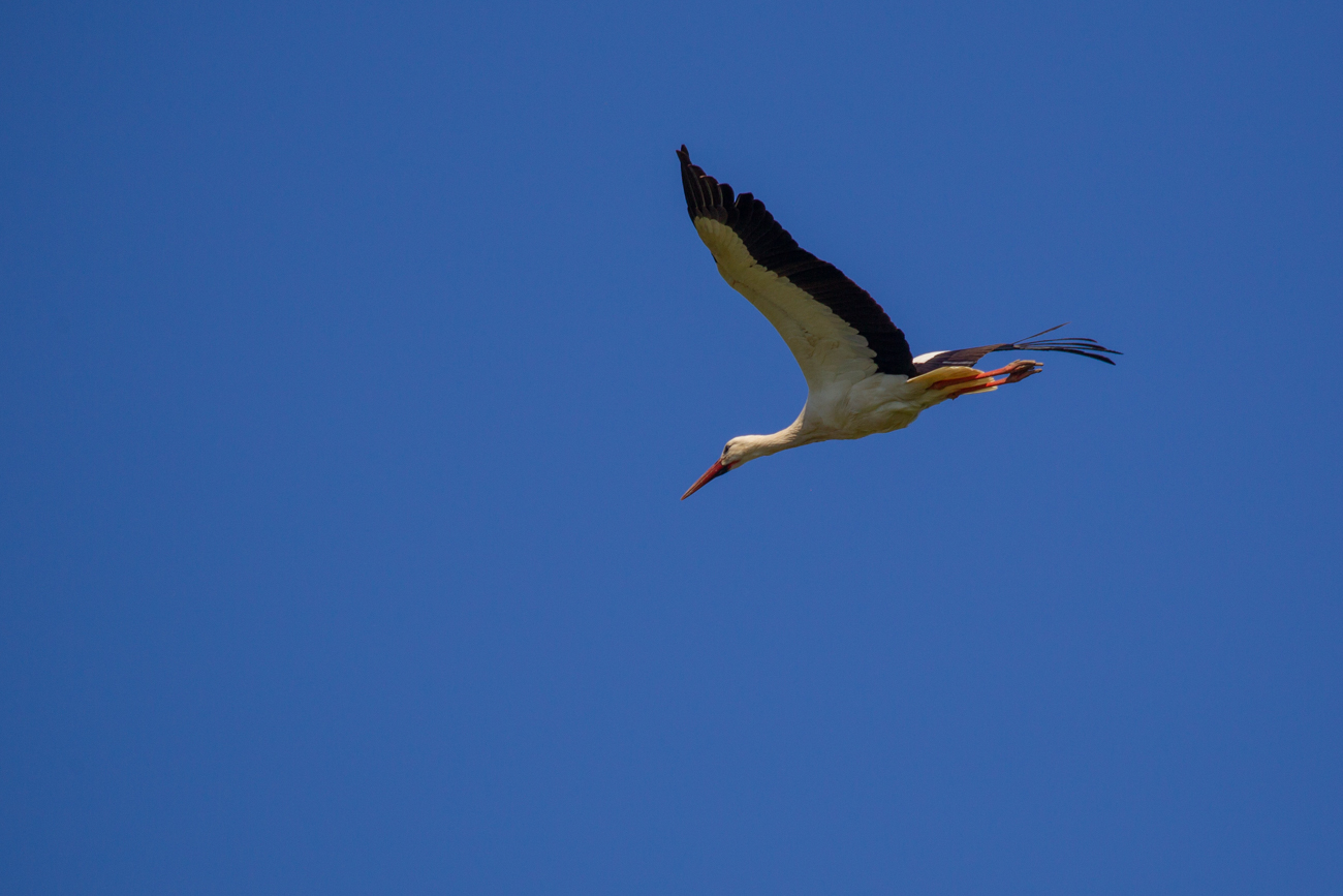 ... einigerma&szlig;en formatf&uuml;llend ...