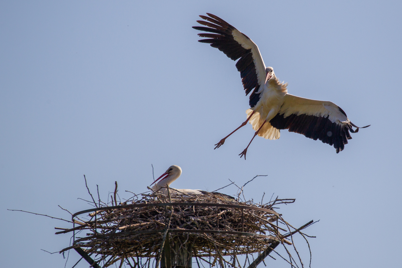 ... etwas aus der Bahn geweht wird