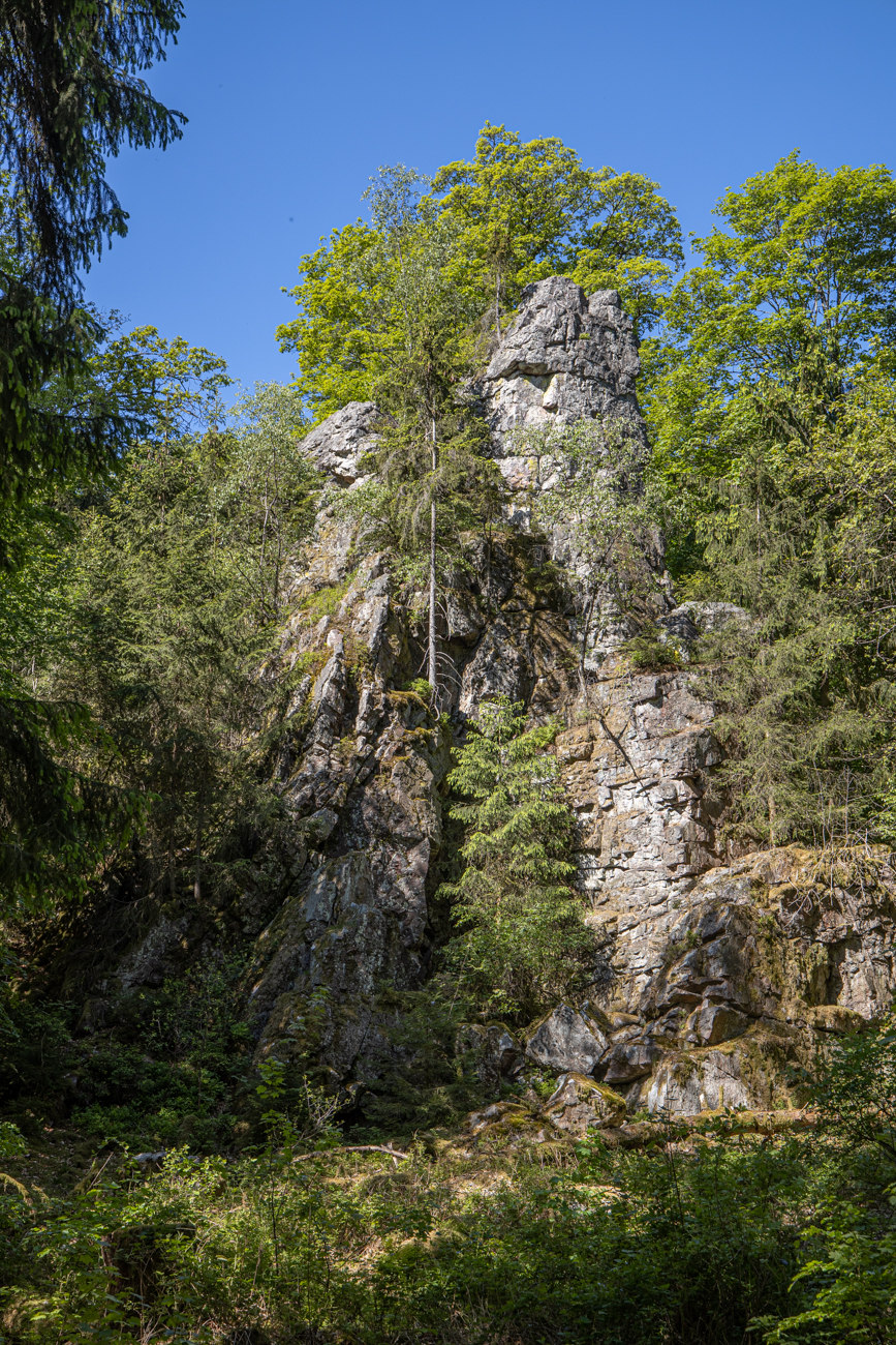 Der "Hohe Fels", typischer Taunus-Quarzit der Region Saar-Hunsr&uuml;ck