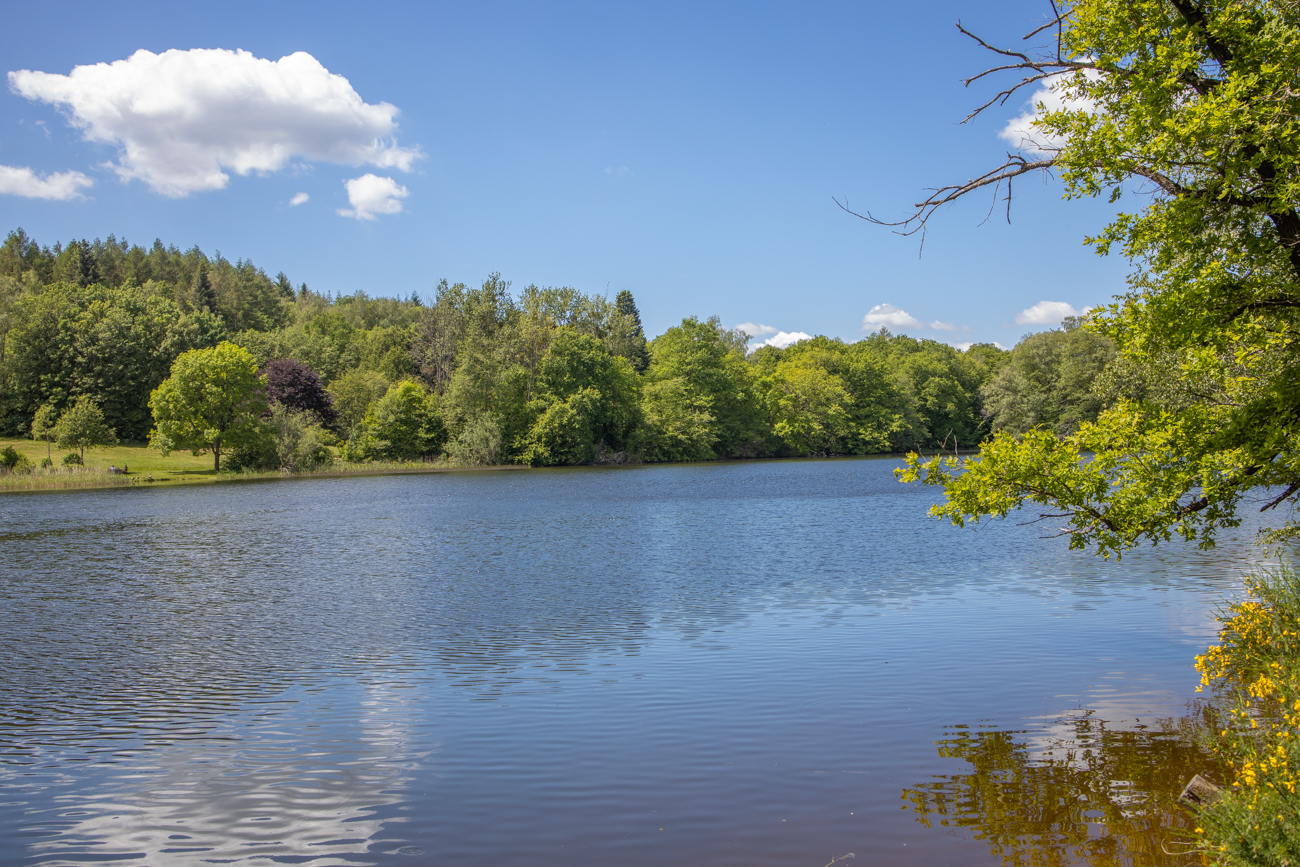 Der Stausee bei Losheim
