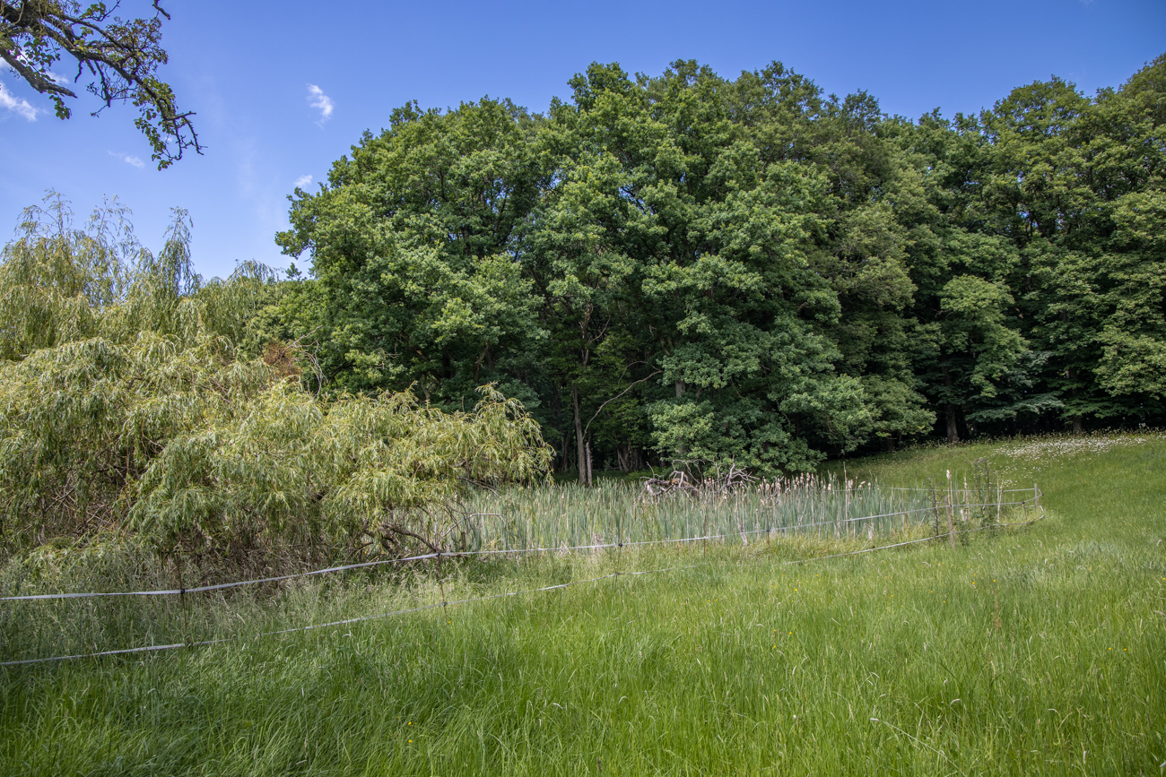 An einer L&ouml;sungsdoline