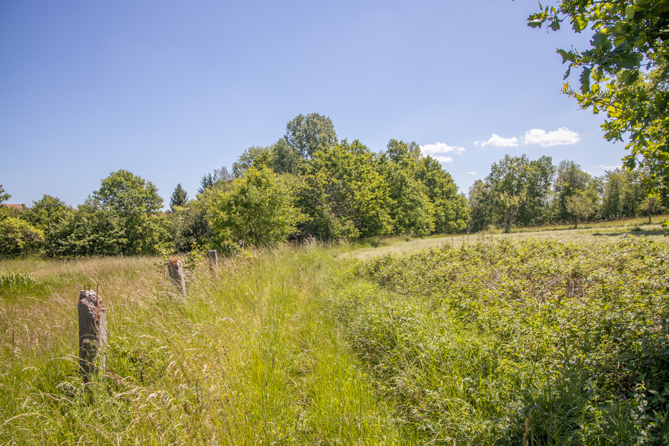 Sch&ouml;ner Wiesenweg