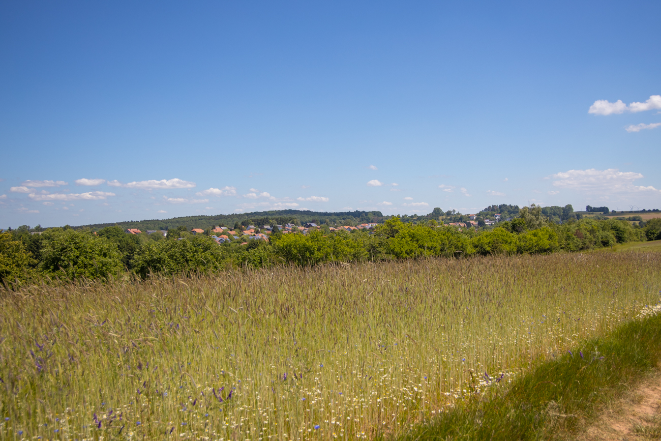 D&auml;cher von Stennweiler