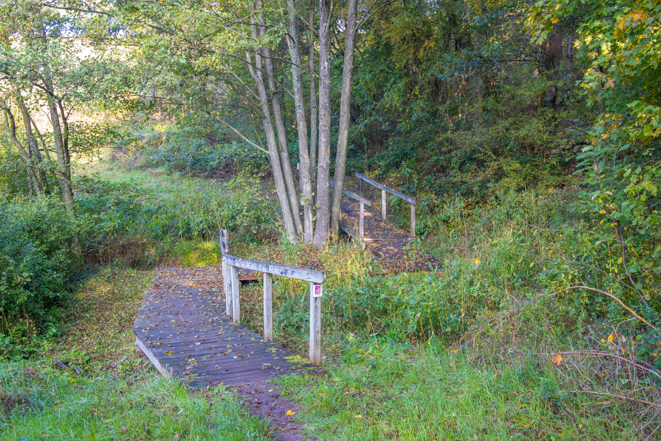 Eine von mehreren (rutschigen) Holzbr&uuml;cken