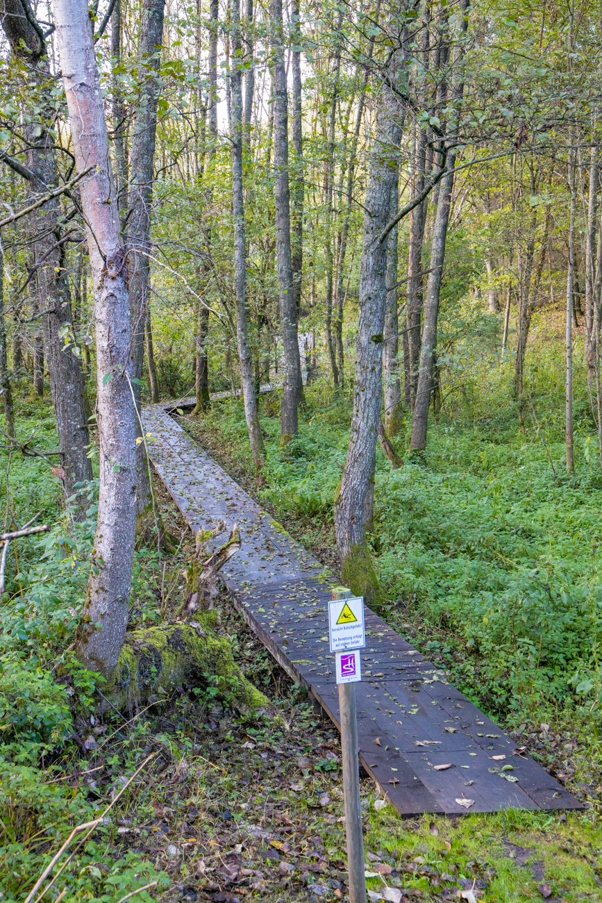 Bohlenweg durch das "Moor"