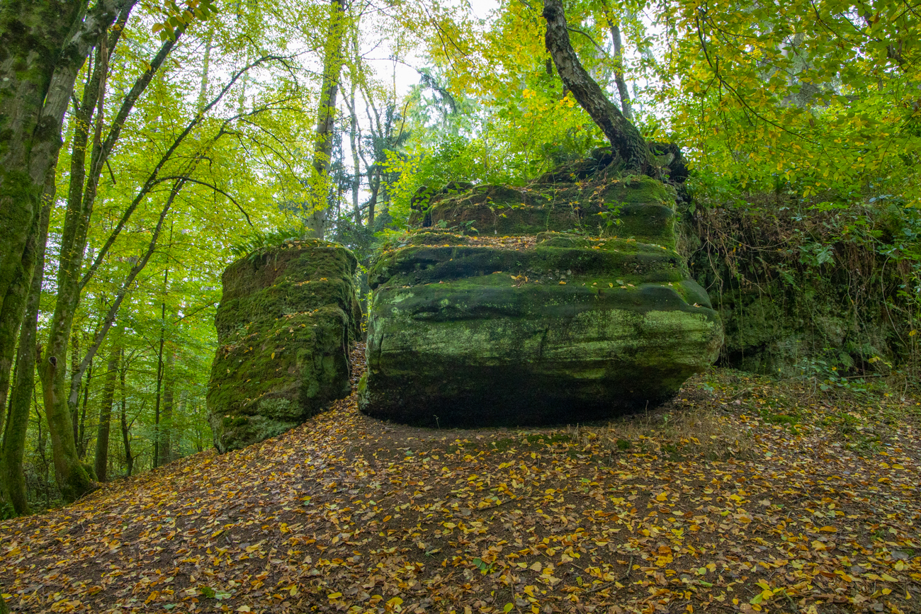 Der Dasselter Stein ...