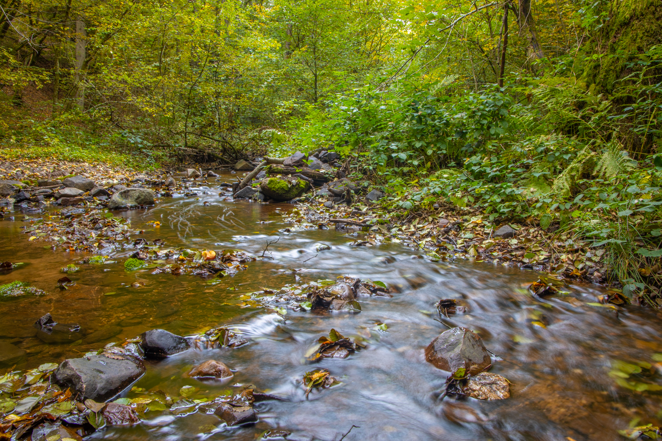 Der Saarh&ouml;lzbach