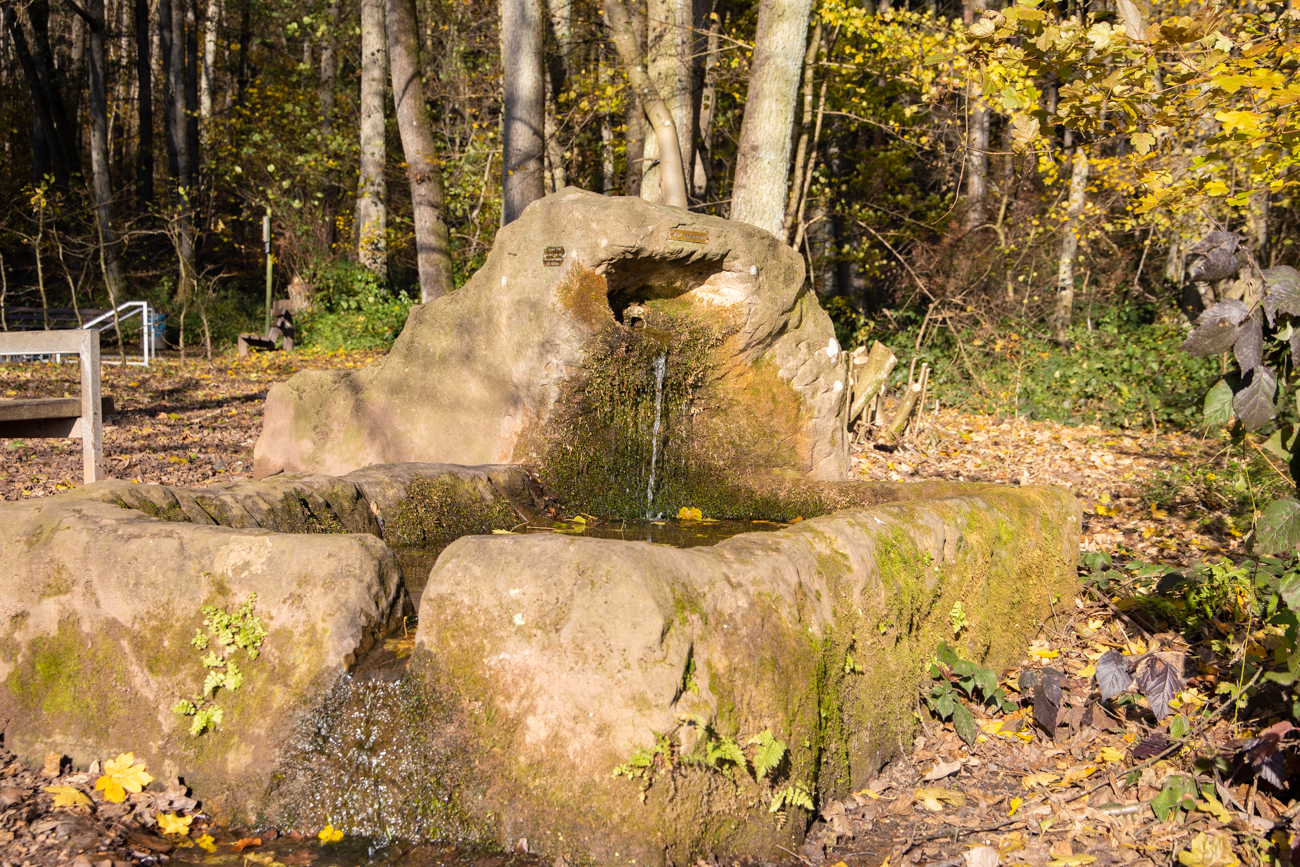 Brunnen (Kein Trinkwasser)