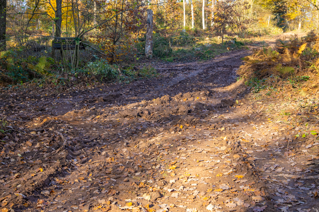 Matschiger Waldweg :-(