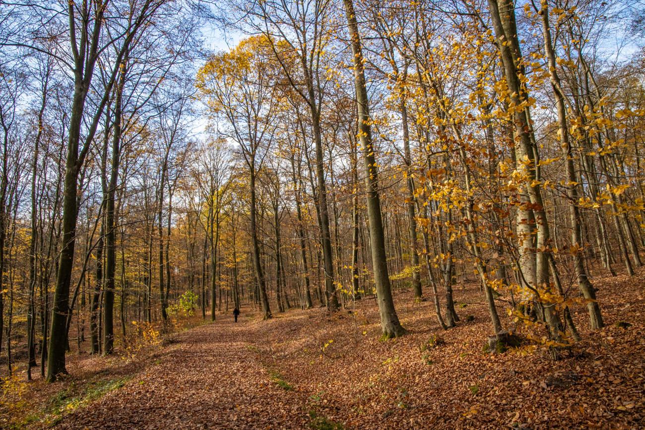 Sch&ouml;nes Wetter mitten im November