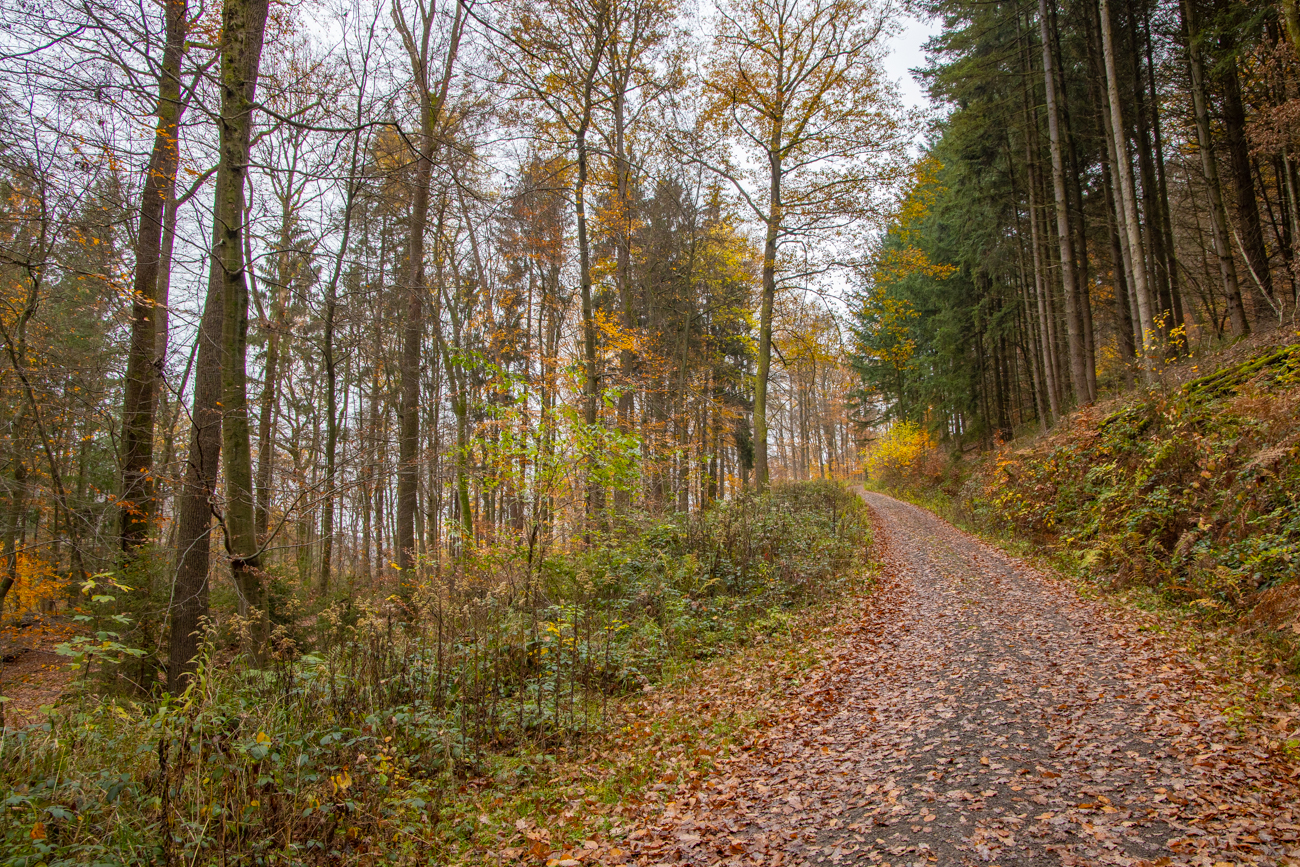 Auf dem Stiefel Wanderweg