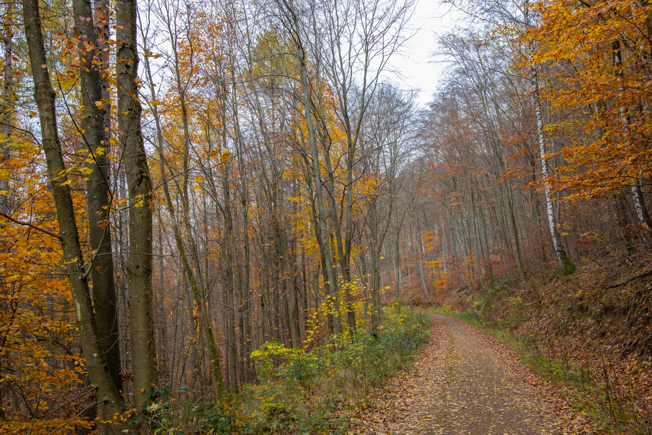 Leider ist der Himmel bedeckt