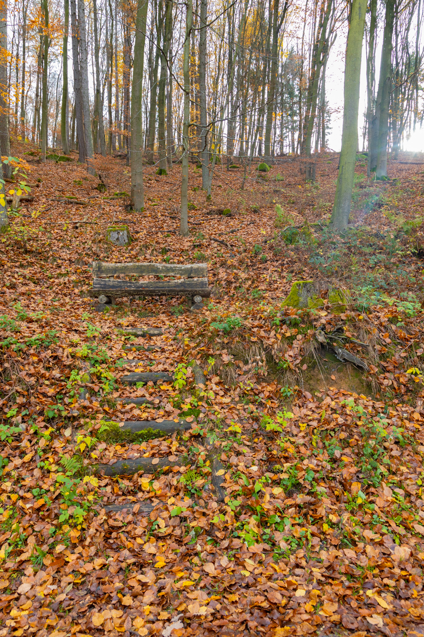 Stufen zur Pausenbank ...