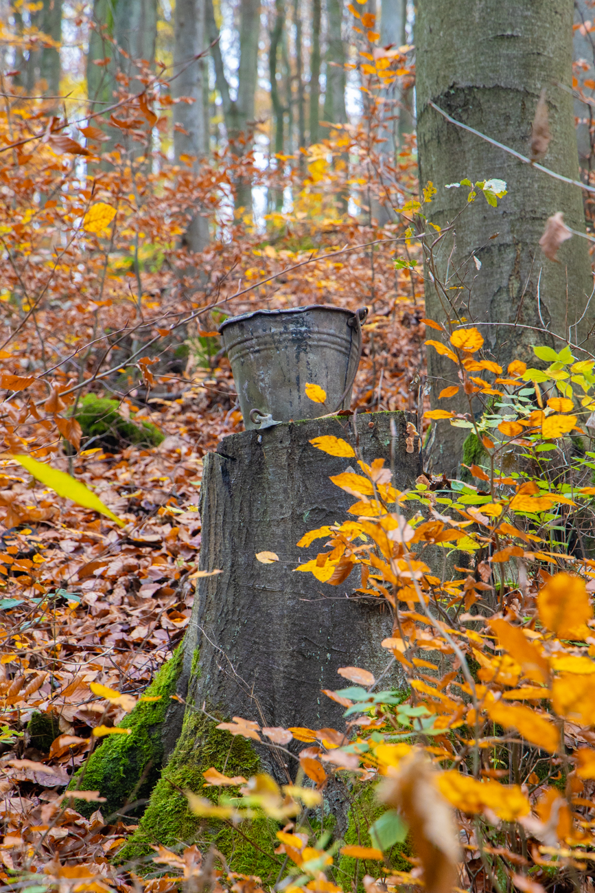 Was sollen die ganzen Eimer ...